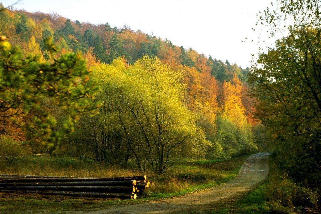Fliederhof Ferienwohnungen Herresbach Cameră foto