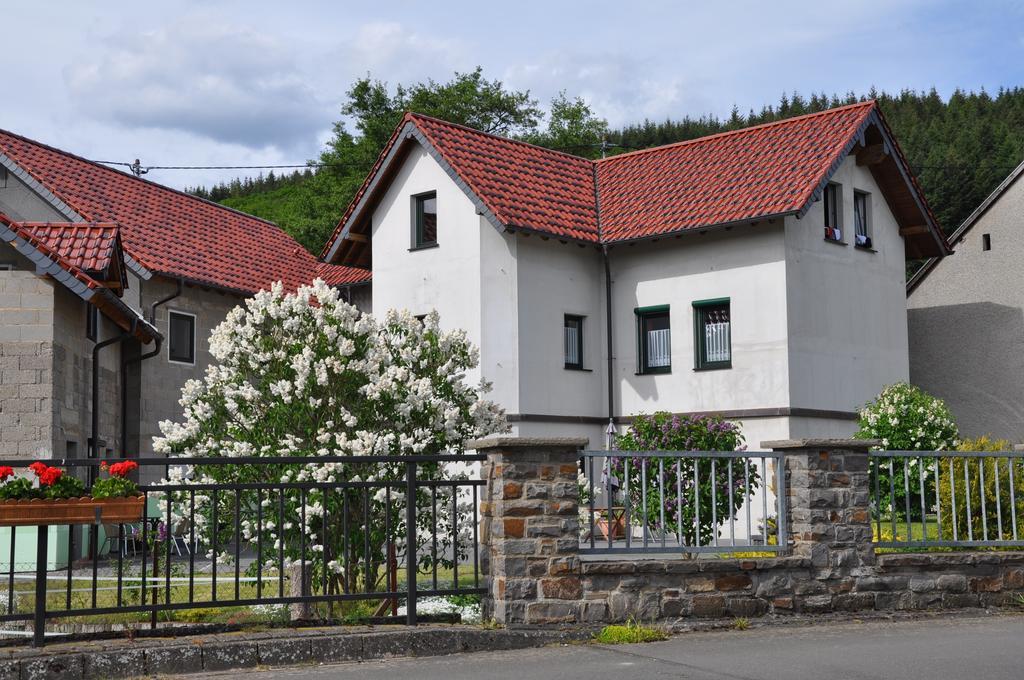 Fliederhof Ferienwohnungen Herresbach Cameră foto
